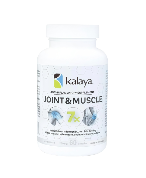 Joint & Muscle